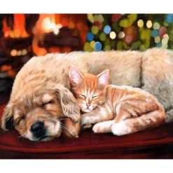 Peinture au numéro : Sieste entre amis - toile tendue sur châssis - Figured'Art