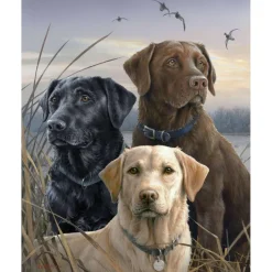 Peinture au numéro : Trio de labrador - toile tendue sur châssis - Figured'Art
