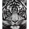 Peinture au numéro : Tête de Tigre en noir et blanc - sans châssis en bois - Figured'Art