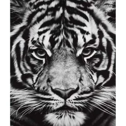 Peinture au numéro : Tête de Tigre en noir et blanc - sans châssis en bois - Figured'Art