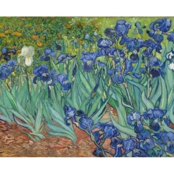 Peinture au numéro : Van Gogh Iris - sans châssis en bois - Figured'Art
