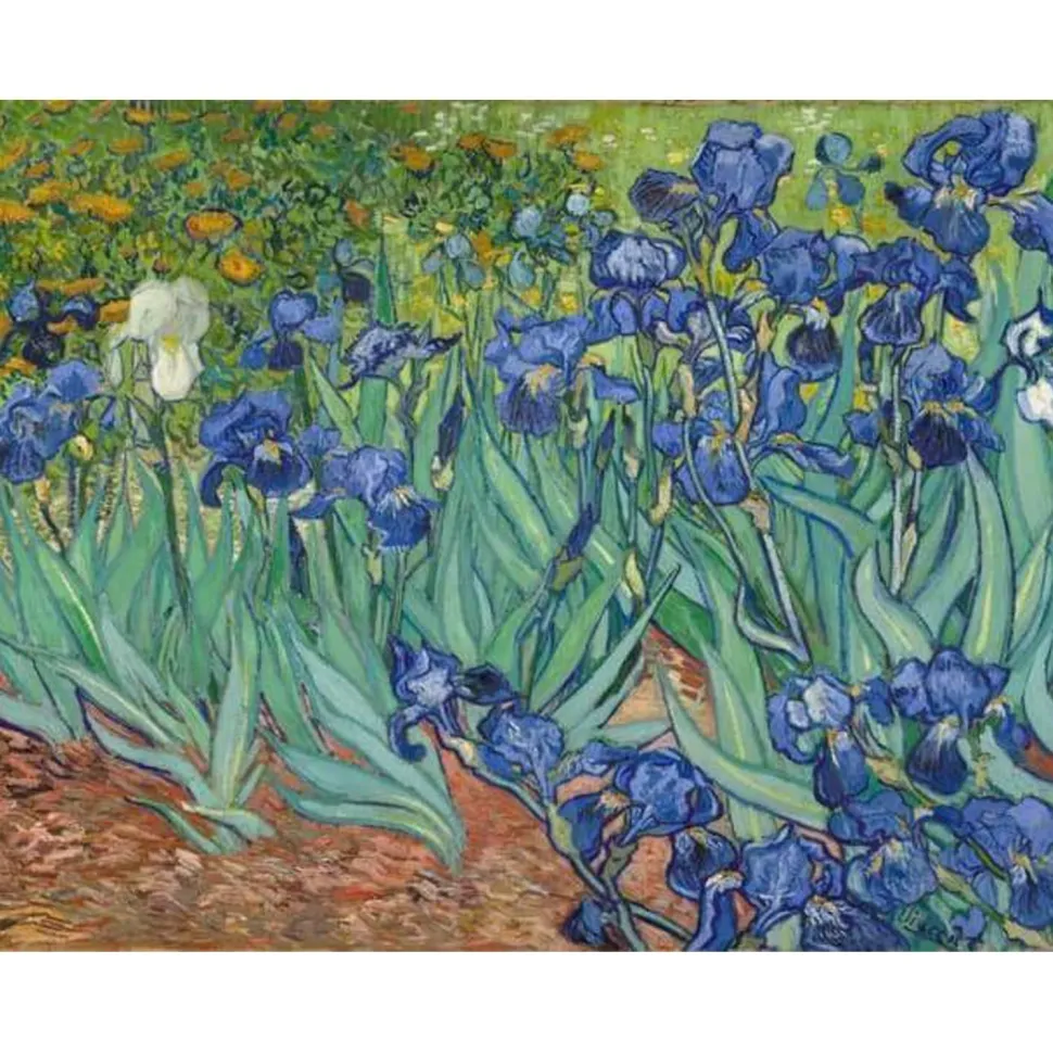 Peinture au numéro : Van Gogh Iris - sans châssis en bois - Figured'Art