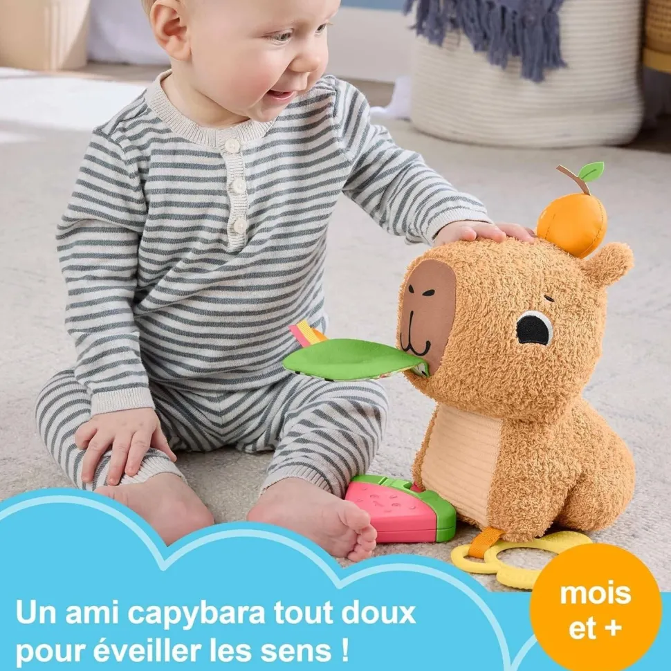 Peluche Anneau De Dentition Et Hochet : Mon Capybara Câlins - Fisher-Price