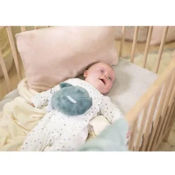 Peluche Bouillotte chaud et froid Poisson - Kaloo