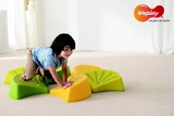 Planifier votre parcours Feuilles, set de 6 - Eduplay