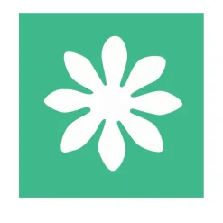 Poinçon créatif fleur 25 mm - Eduplay