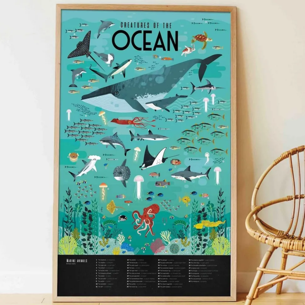 Poster pédagogique : oceans - Poppik