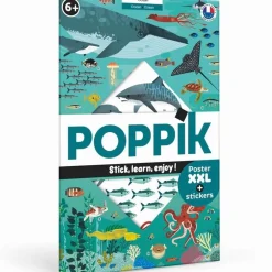 Poster pédagogique : oceans - Poppik