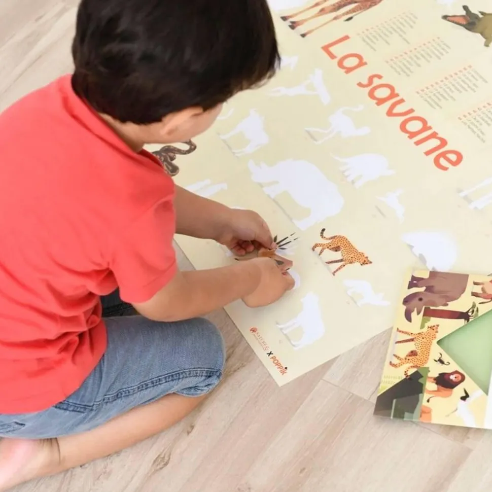 Poster pédagogique : savane - Poppik