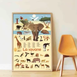 Poster pédagogique : savane - Poppik