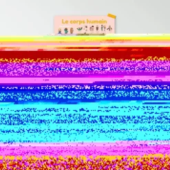 Poster pédagogique et stickers : Le corps humain - Poppik
