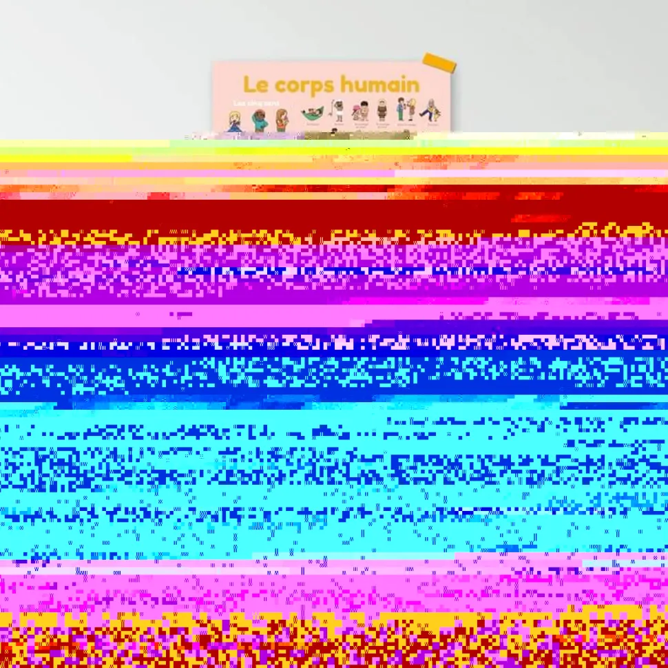 Poster pédagogique et stickers : Le corps humain - Poppik