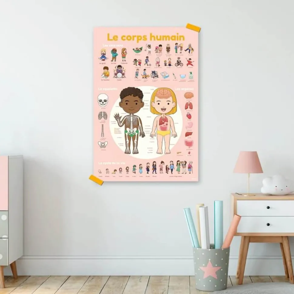 Poster pédagogique et stickers : Le corps humain - Poppik