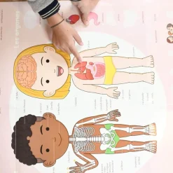 Poster pédagogique et stickers : Le corps humain - Poppik