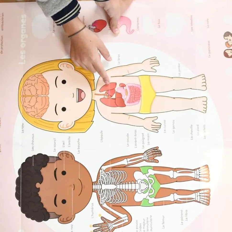 Poster pédagogique et stickers : Le corps humain - Poppik