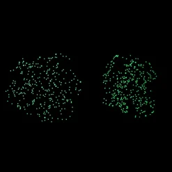 Poster pédagogique et stickers : Étoiles phosphorscentes - Poppik