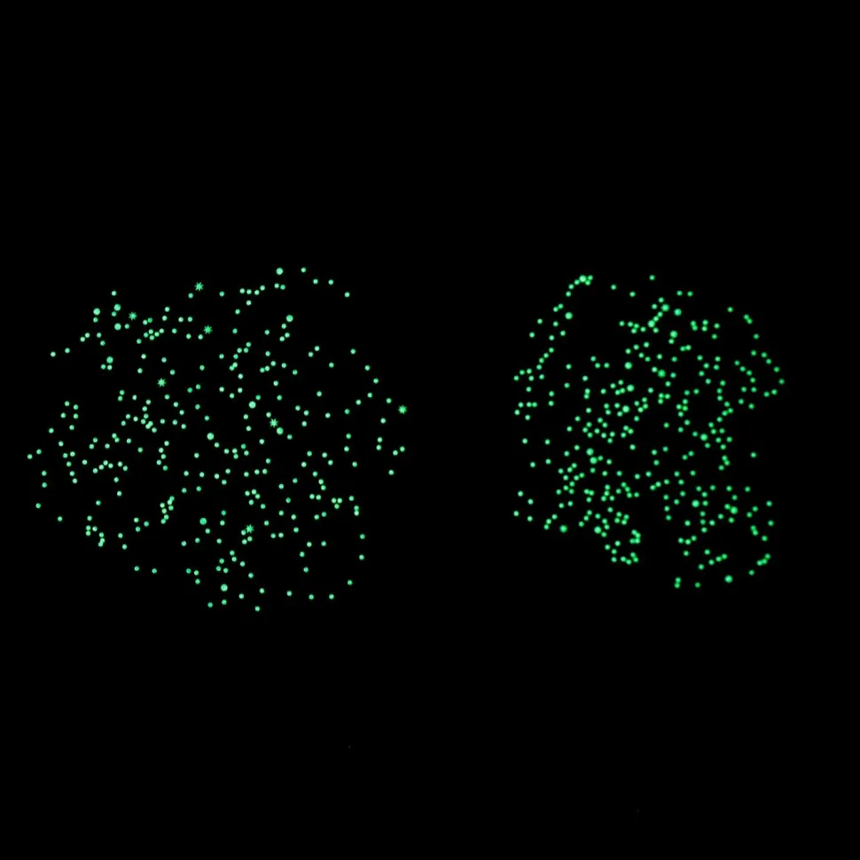 Poster pédagogique et stickers : Étoiles phosphorscentes - Poppik