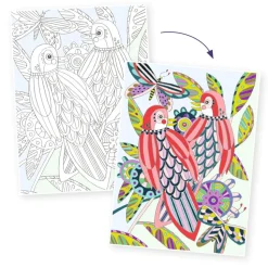 Posters à colorier : Colouring Gallery : Oiseaux - Djeco