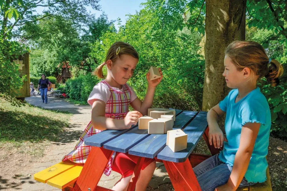 Prismes bruit, même bruit à retrouver, set de 2 x 6 pces - Eduplay