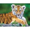 Puzzle 150 pièces : Bébé Tigre - Nathan