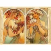 Puzzle 1000 pièces - Alphonse Mucha : Dyptique fruit et fleur - DToys