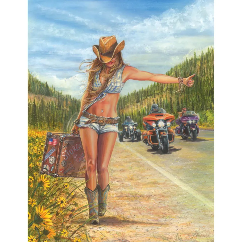 Puzzle 1000 pièces : American Gypsy - Anatolian