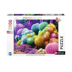 Puzzle 2000 pièces : Arc-en-ciel de cactus - Nathan