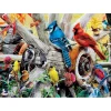 Puzzle 1000 pièces : Audubon - Les oiseaux du jardin - Master Pieces