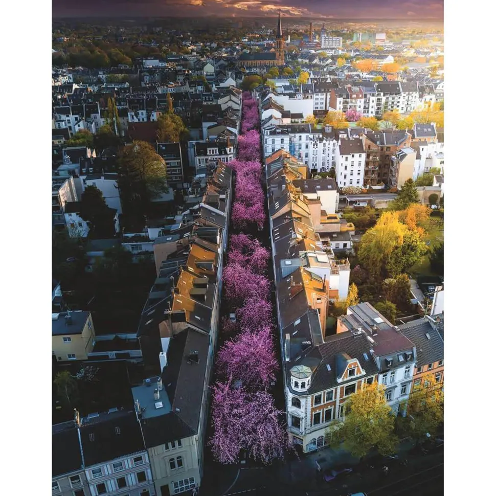 Puzzle 1500 pièces : Bonn En Fleurs - Ravensburger