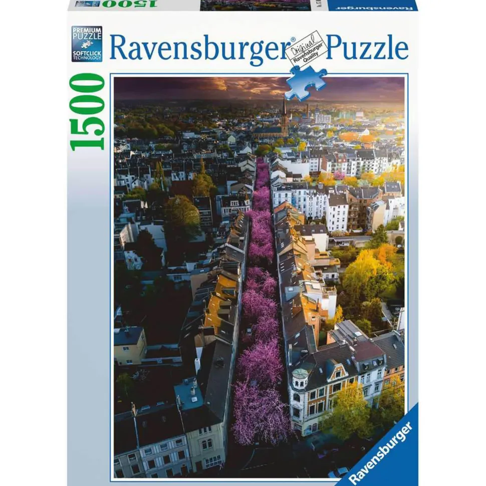 Puzzle 1500 pièces : Bonn En Fleurs - Ravensburger