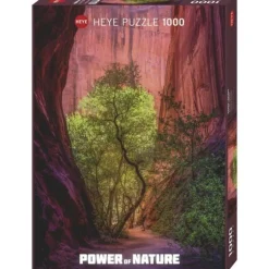 Puzzle 1000 pièces : Canyon chantant - Heye