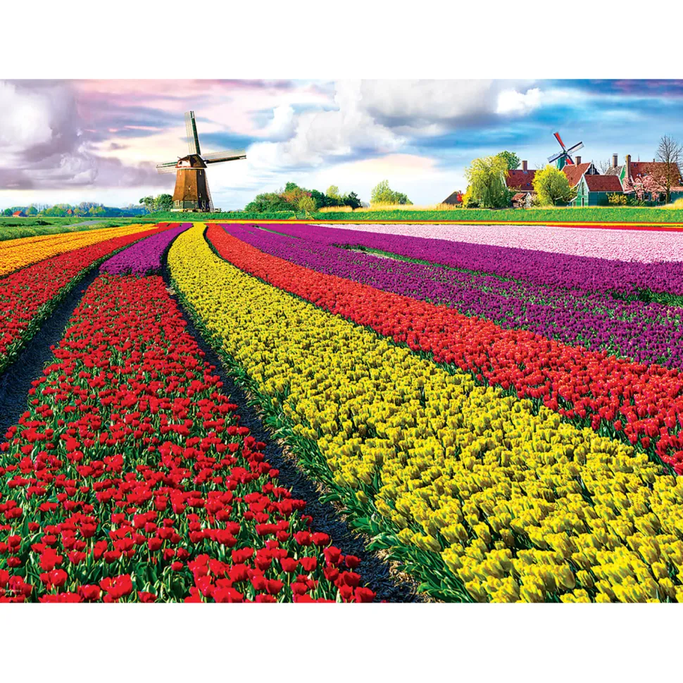 Puzzle 1000 pièces : Champ de tulipes - Eurographics