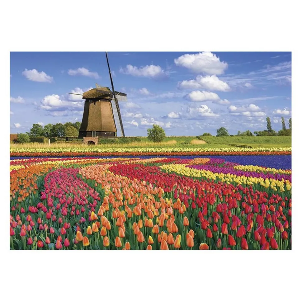 Puzzle 1000 pièces - Champs de tulipes - Hollande - Sentosphère