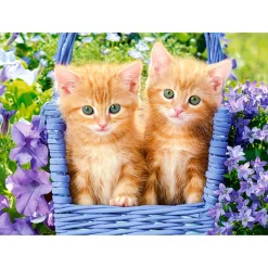 Puzzle 60 pièces : Chatons Roux - Castorland