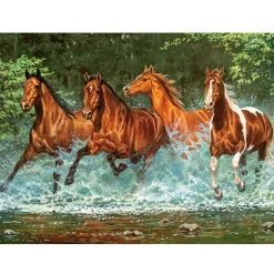 Puzzle 300 pièces : Chevauchée dans l'eau - Castorland