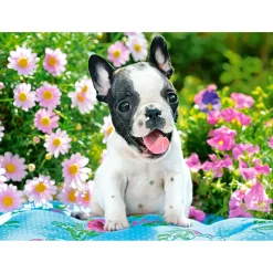 Puzzle 70 pièces : Chiot Bouledogue Français - Castorland