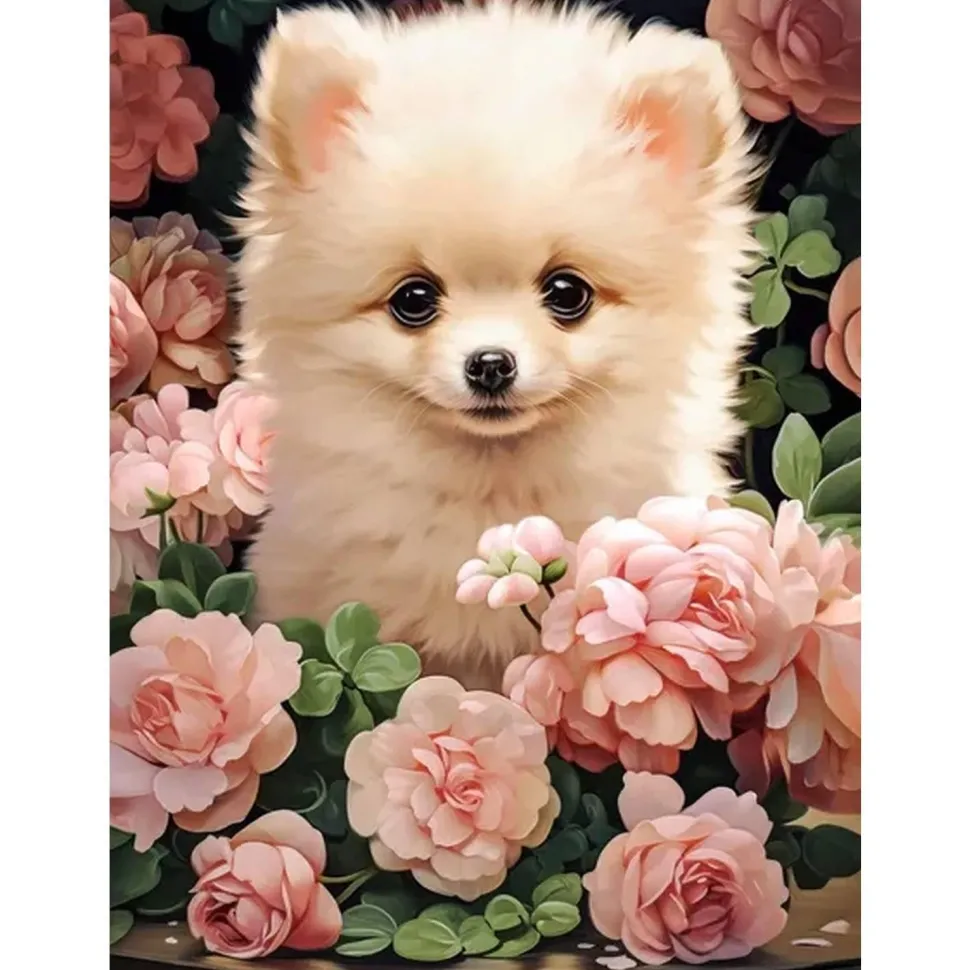 Puzzle 300 pièces : Chiot de Poméranie premium dans les roses - Castorland