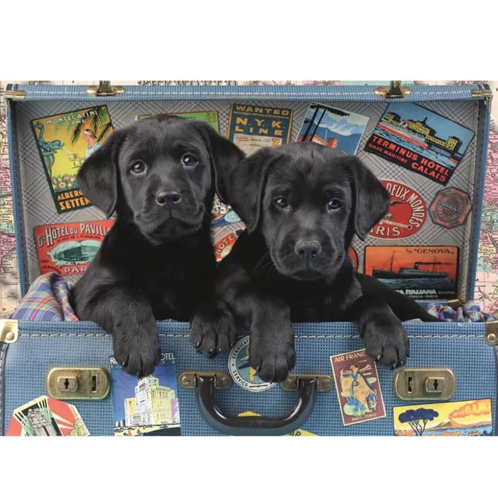 Puzzle 500 pièces : Chiots dans une valise - Dino