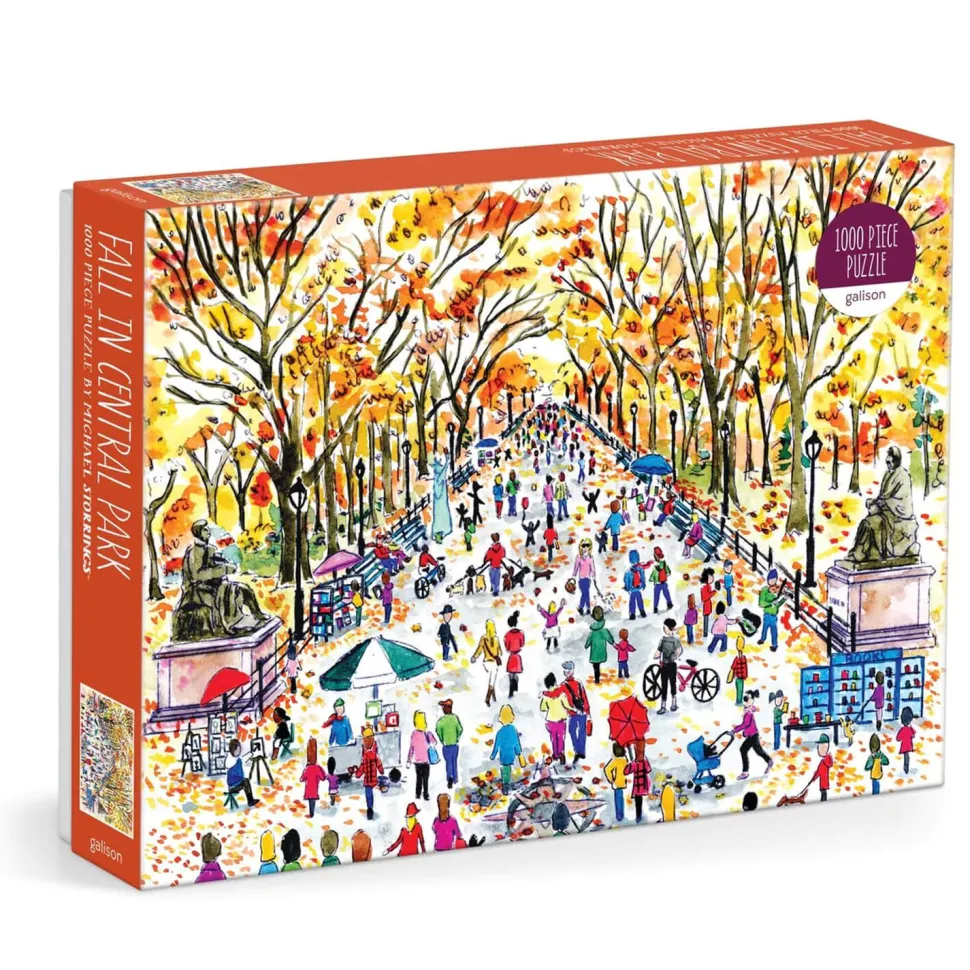 Puzzle 1000 pièces : Chute à Central Park, Michael Storrings - Galison