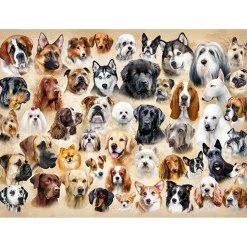 Puzzle 200 pièces : Collage avec des Chiens - Castorland