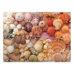 Puzzle 1000 pièces : Coquillages sous le soleil - Galison