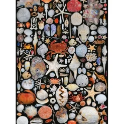 Puzzle 1000 pièces : COQUILLES - Piatnik