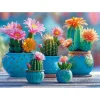 Puzzle 1000 pièces : Feu d'artifice Cactus Bloomy - CherryPazzi