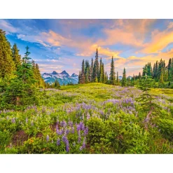 Puzzle 2000 pièces : Fleurs du matin - Castorland