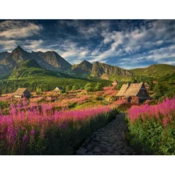 Puzzle 1000 pièces : Gaseinicova dolina - Dino