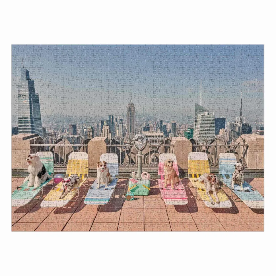 Puzzle 1000 pièces : Gray Malin, Les Chiens de New York - Galison