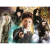 Puzzle 500 pièces : Harry Potter - Clementoni