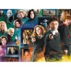 Puzzle 1000 pièces : Harry Potter - Le Monde des Sorciers - Trefl