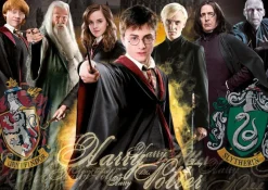 Puzzle 1000 pièces : Harry Potter - Educa