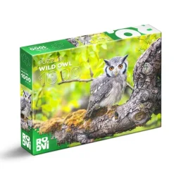 Puzzle 1000 pièces : Hibou sauvage - DToys